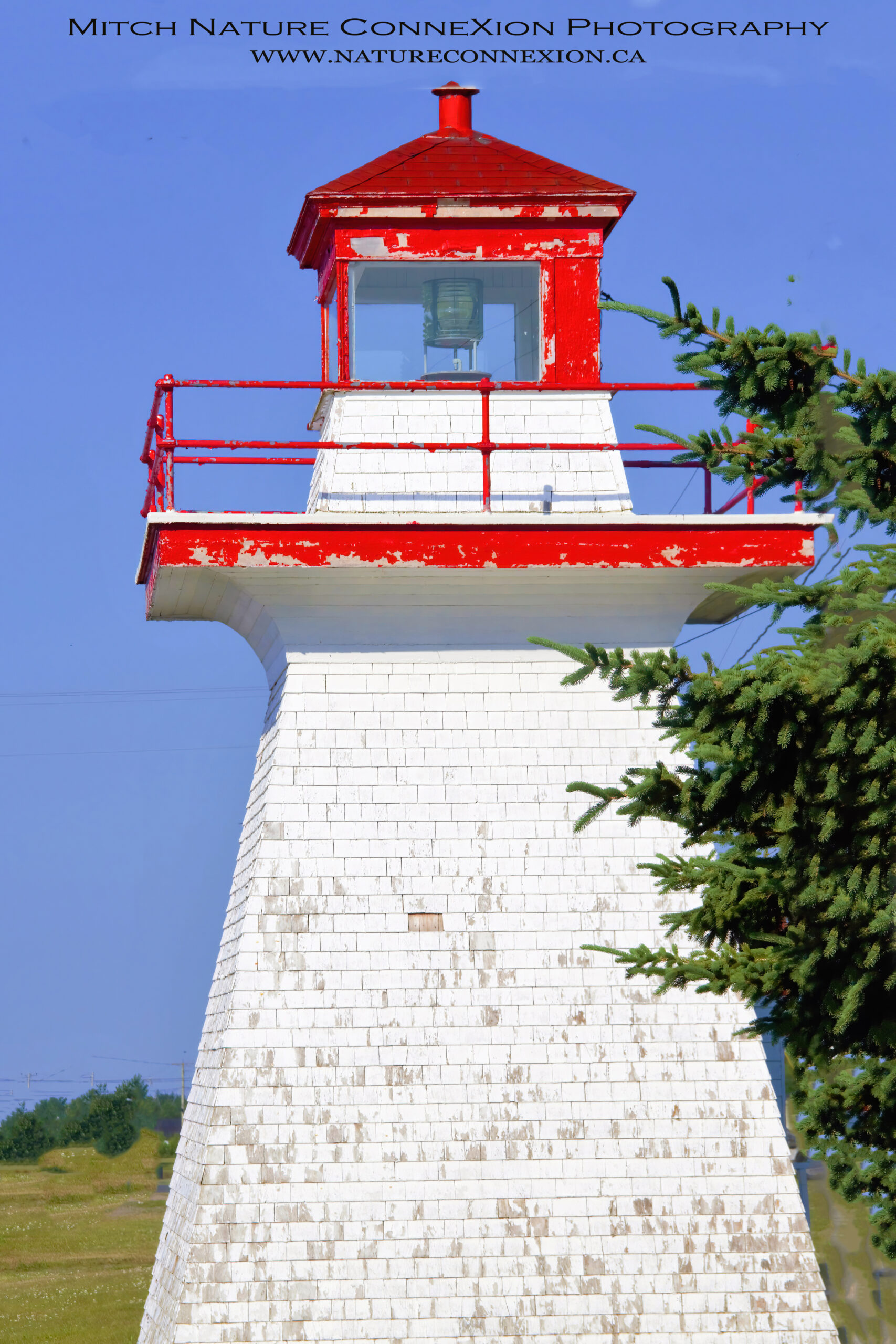 Lighthouse PointSapin Nature Connexion